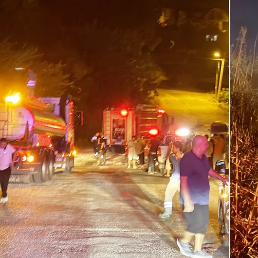Alanya'da sazlık yangını kontrol altına alındı