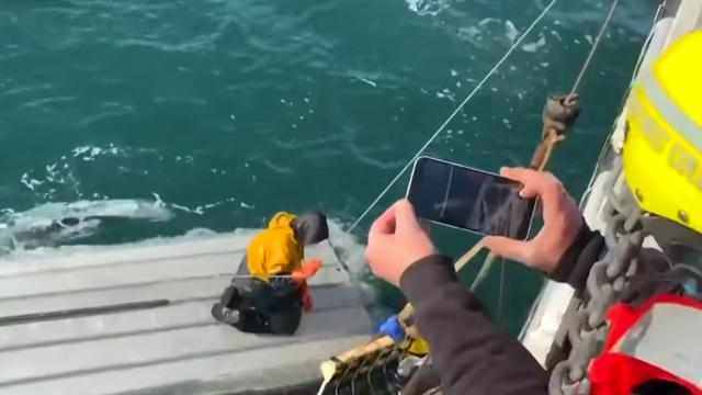 Alaska'da Alabora Olan Teknede 2 Gün Hayatta Kalan Çocuk Kurtarıldı