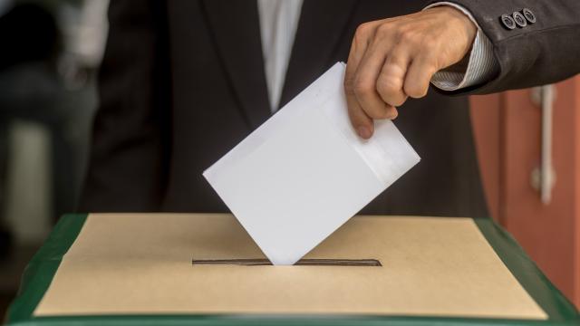 Almanya'da AfD Saksonya-Anhalt'ta Tarihi Zafer Kazandı