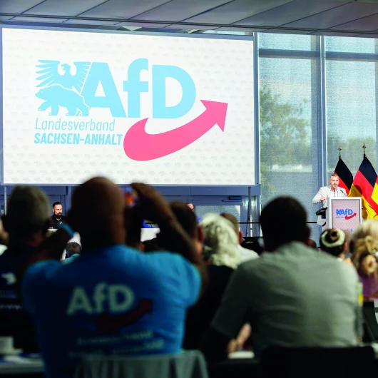 Almanya'da Seçim Mevsimi: Üç Eyalet Sandığa Gidiyor, AfD Yükselişte