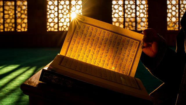 Almanya'da her gün 11 Müslüman karşıtı olay rapor edildi
