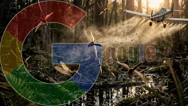 Alphabet destekli proje: Milyonlarca sivrisinek doğaya salınacak