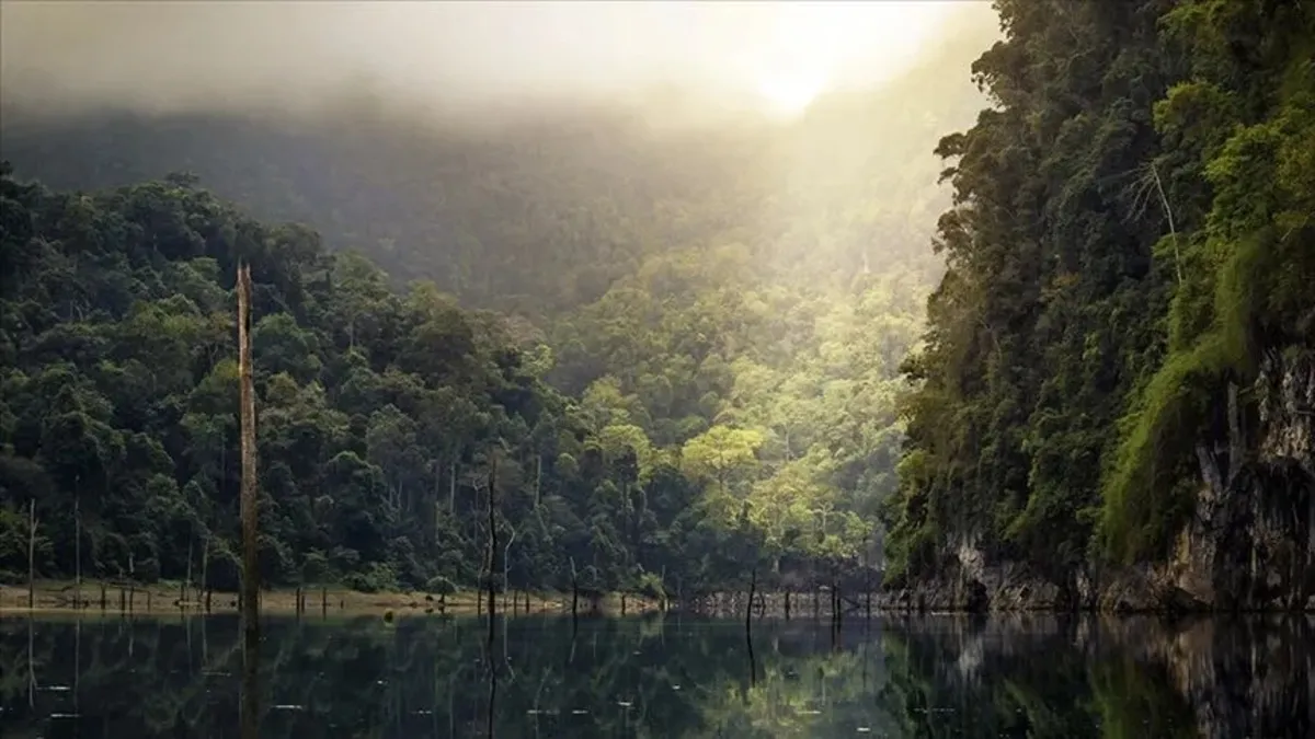 Amazon'da LIDAR Keşfi: 396 Yeni Antik Yapı Gün Yüzüne Çıktı