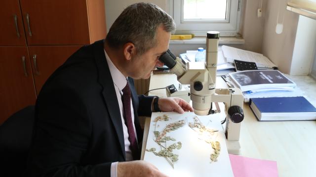Anadolu'nun bitki zenginliği bilimsel kayıt altına alınıyor