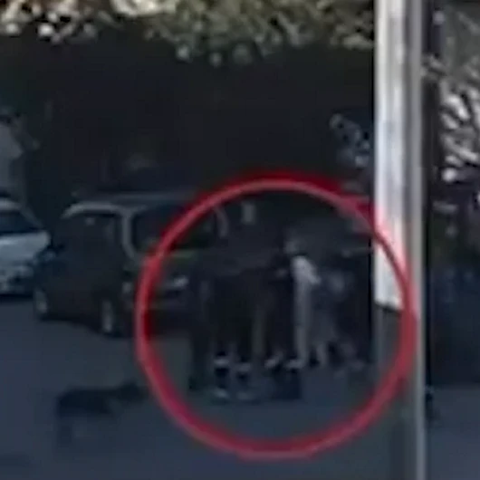 Ankara'da Köpekten Kaçarken Fenalaşan Genç Hayatını Kaybetti