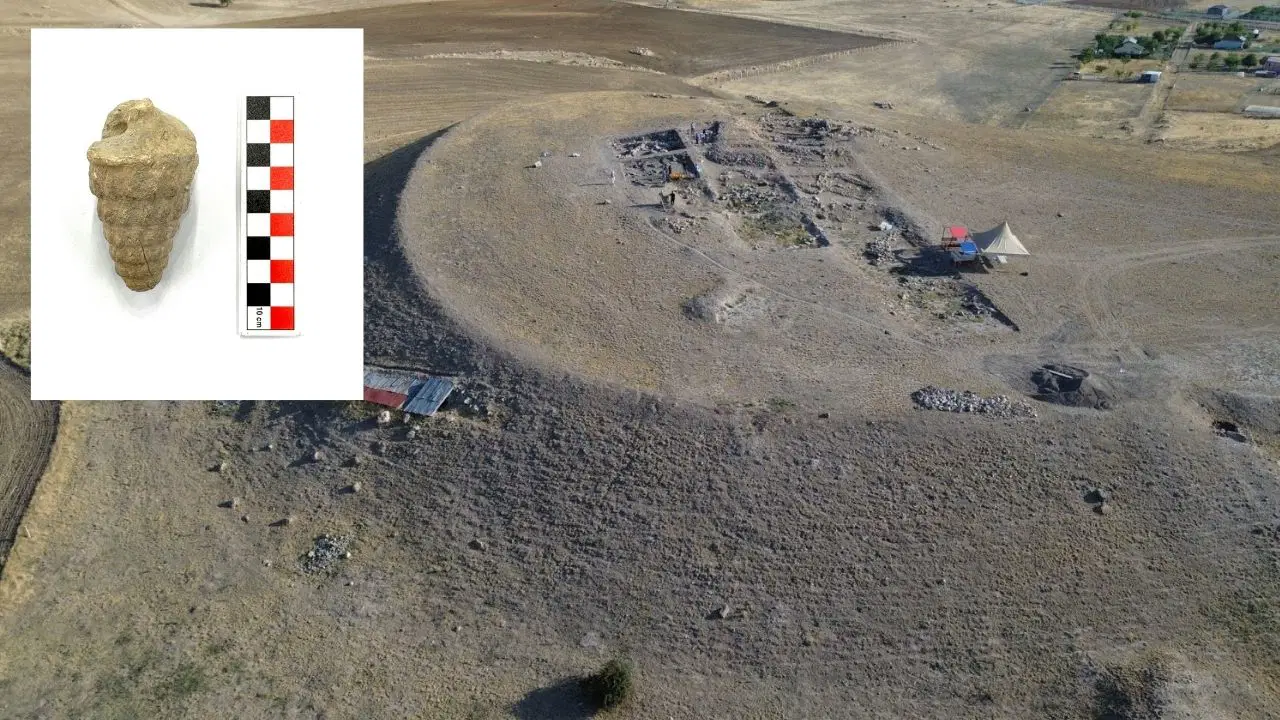 Ankara'da 66 Milyon Yıllık Deniz Canlısı Fosili Bulundu