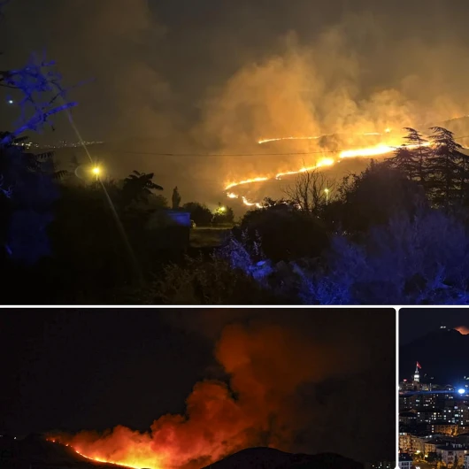 Ankara'da Ağaçlık Alanda Yangın: Mamak'ta Ekipler Seferber Oldu