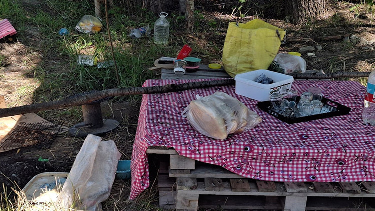 Ankara'da piknik keyfi cinayete dönüştü: Tartıştığı eşini bıçaklayarak öldürdü