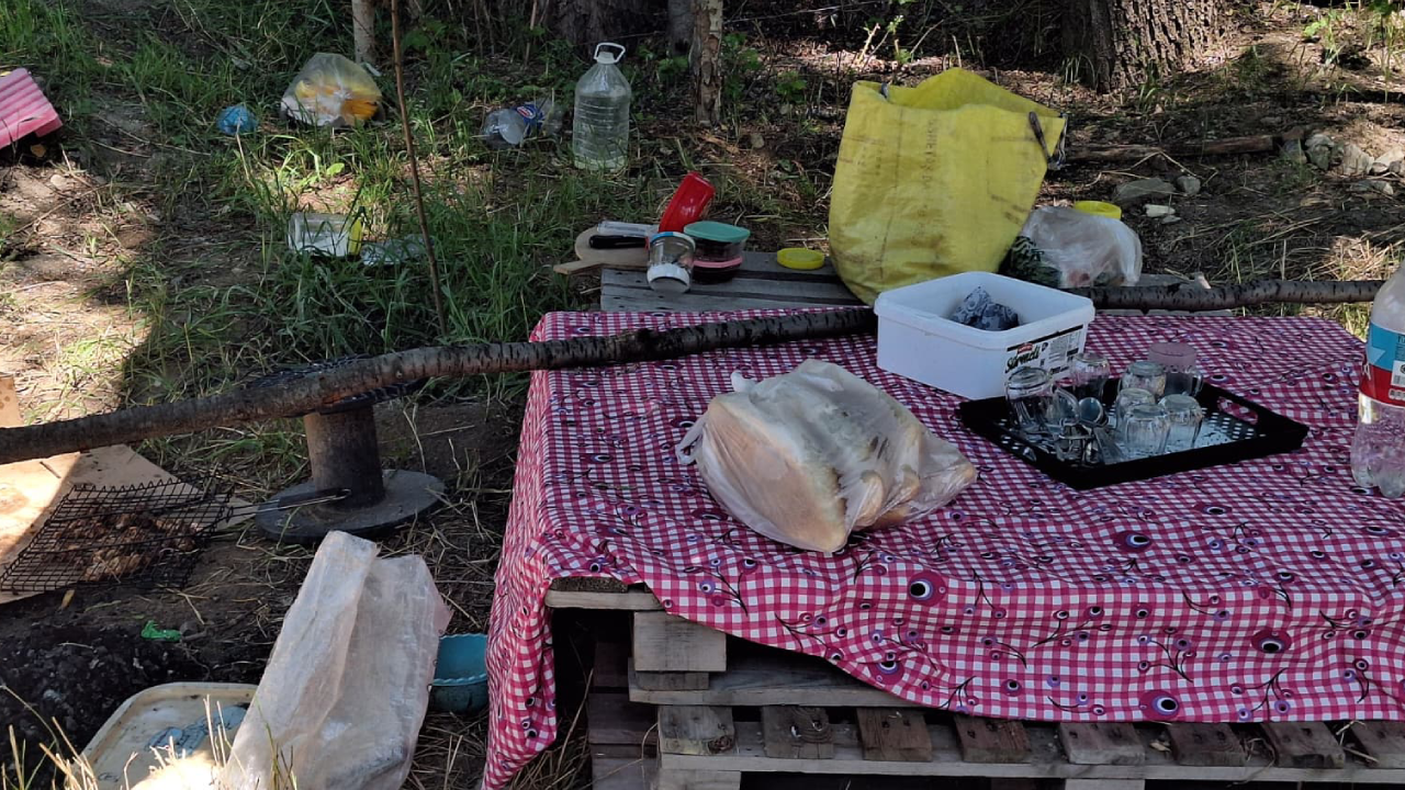 Ankara'da piknik kabusu: Kocası tarafından bıçaklandı