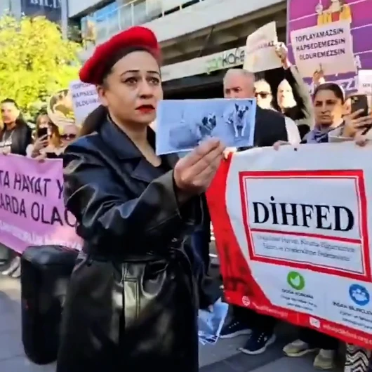 Ankara'da Sözde Hayvanseverlerden İlginç Eylem: Hadi Havla Sen de Havla