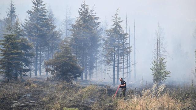 Ankara Yenimahalle'de ot yangını söndürülüyor