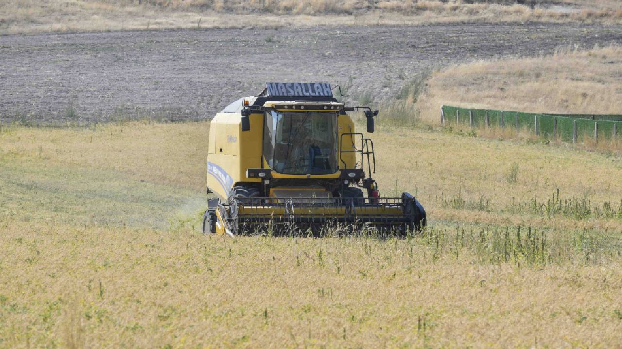 Ankara'da 4 bin 762 çiftçiye nohut desteği: 1,5 milyon kilo tohum dağıtıldı