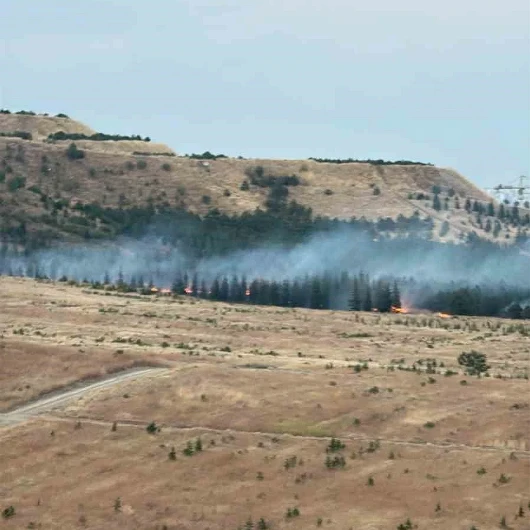 Ankara'da Ağaçlık Alanda Yangın: Alevler Rüzgarla Büyüdü