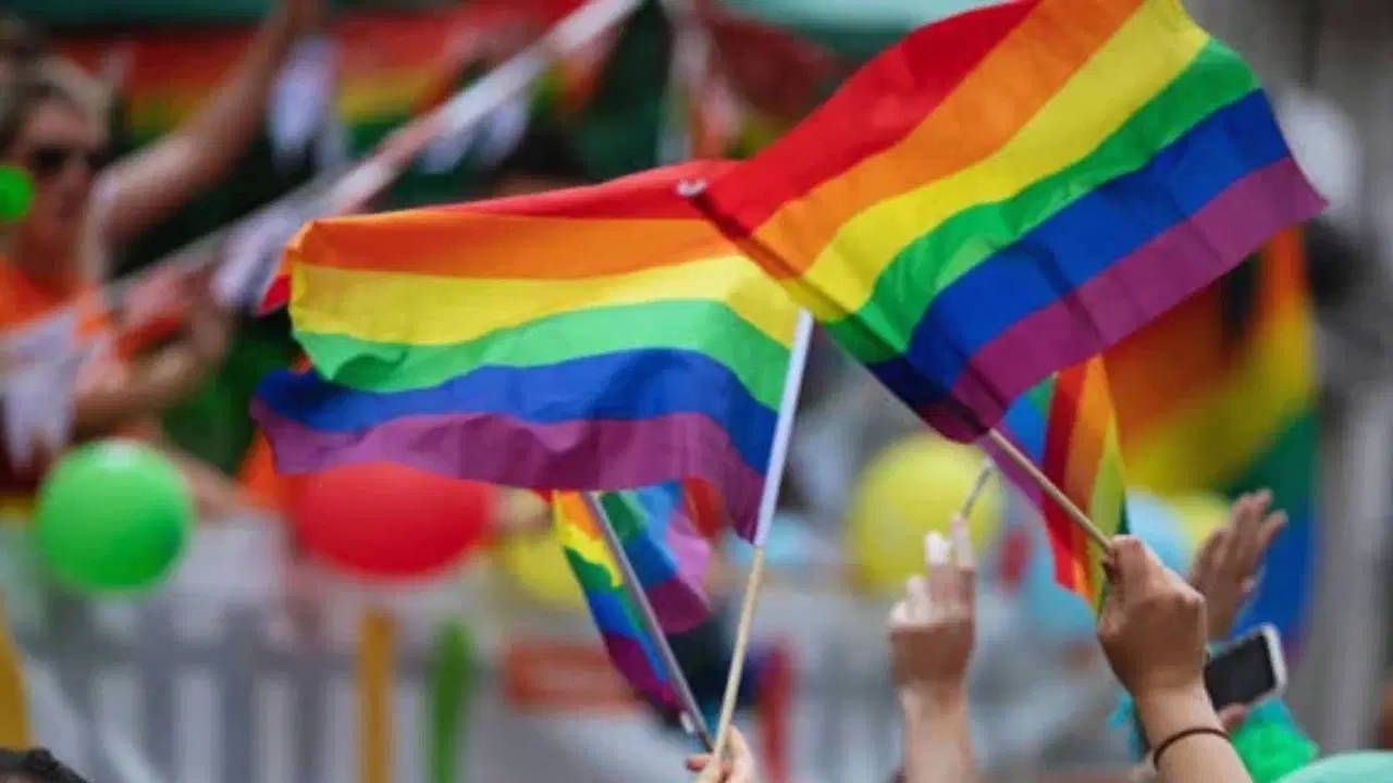 Ankara'da LGBTİ+ Soruştumasında 5 Tutuklama