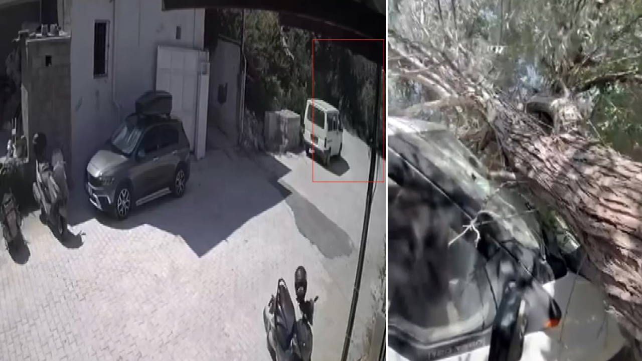 Antakya'da 16 Yıllık Ağaç Park Halindeki Kamyonetin Üzerine Devrildi