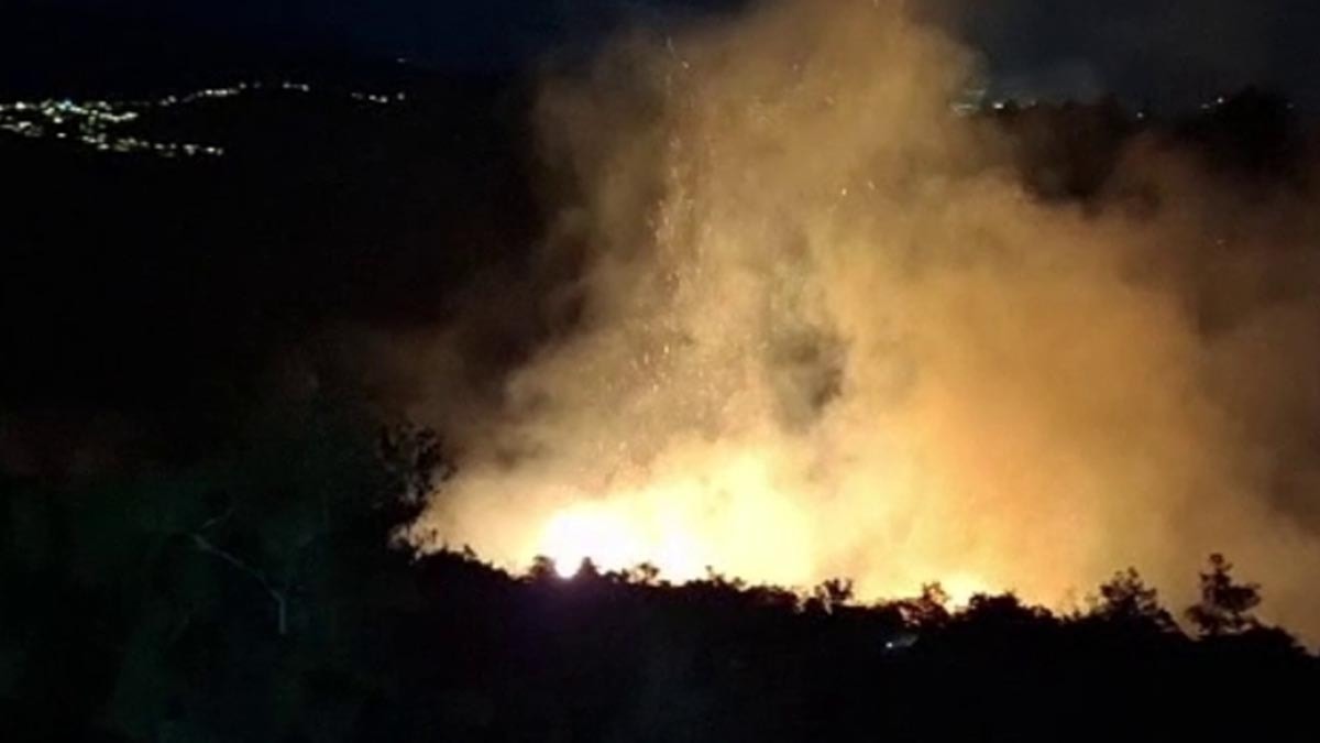 Antakya'da orman yangını hızlı müdahaleyle söndürüldü
