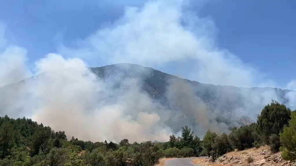 Antalya Akseki'de orman yangını: Ekipler seferber oldu