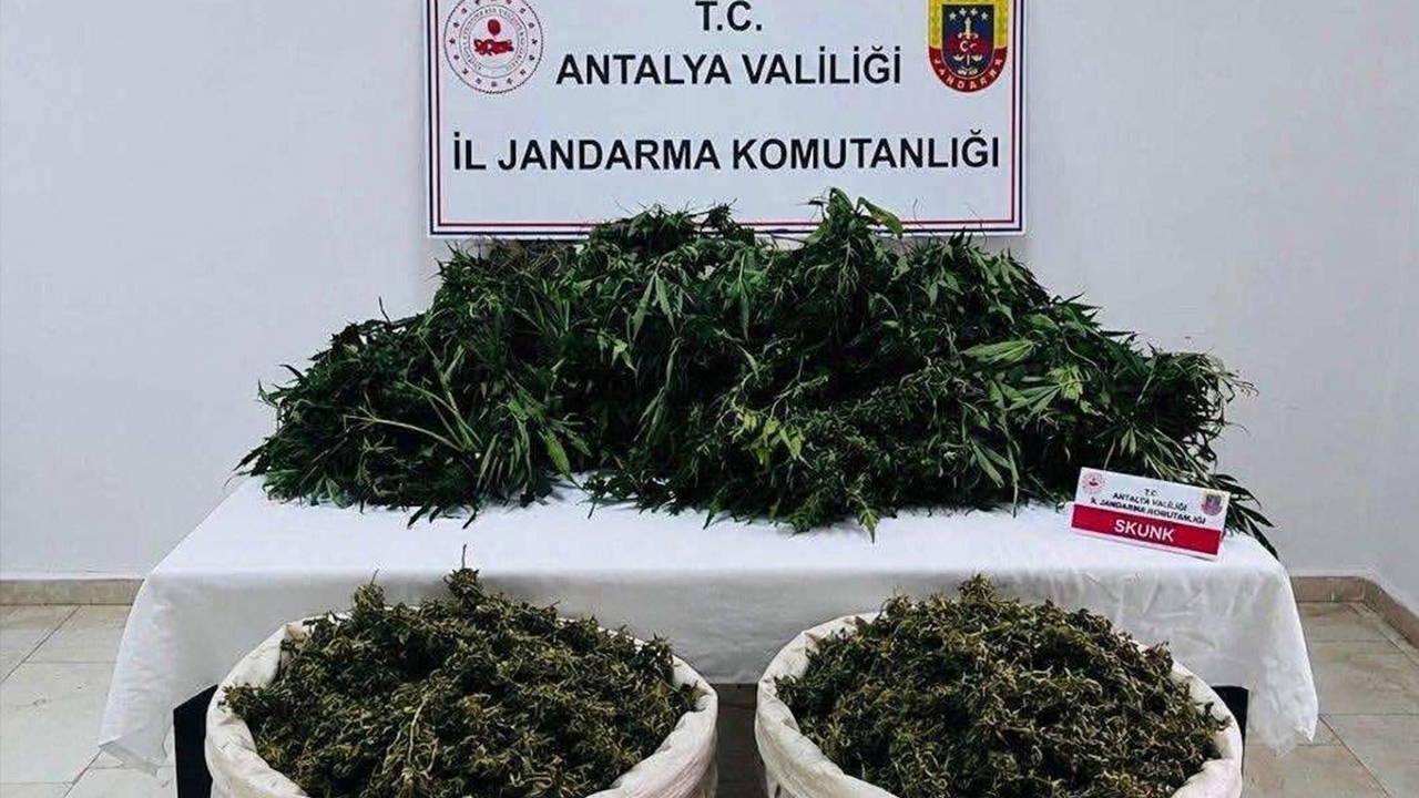Antalya'da uyuşturucu operasyonu: 11 kilo esrar ele geçirildi