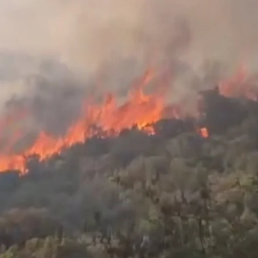 Antalya Kaş'taki Makilik Yangına Havadan ve Karadan Müdahale