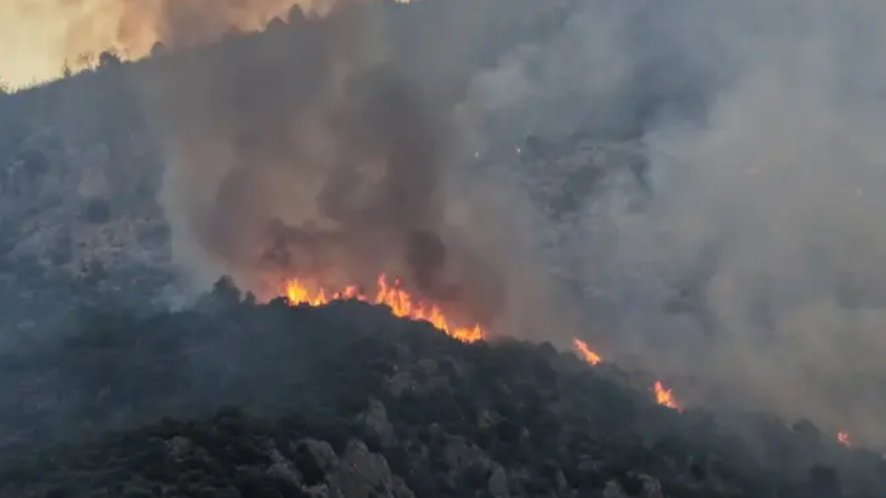 Antalya'da Orman Yangını: Kaş'ta İkinci Gün