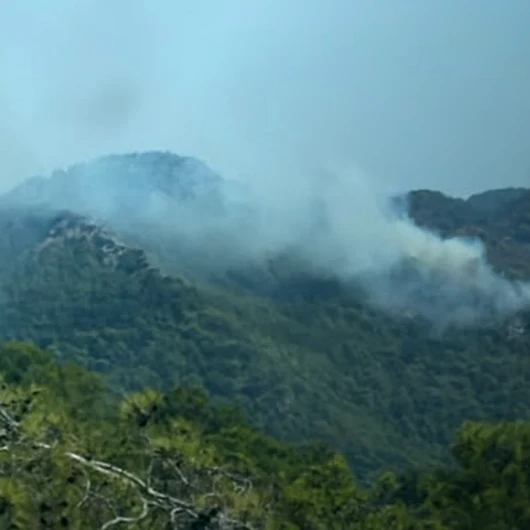 Antalya Kemer'de Orman Yangını Kontrol Altına Alınmaya Çalışılıyor