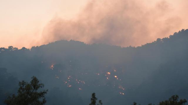 Antalya Kemer'deki Orman Yangını Kontrol Altına Alındı