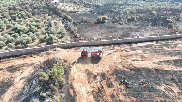 Antalya Kepez'de orman yangını 4 saatte söndürüldü