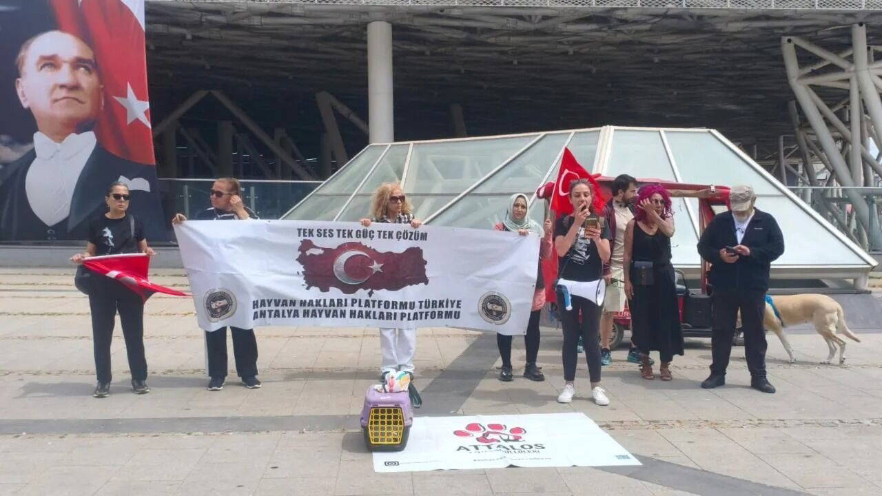 Antalya'da 2.5 yıldır süren kuş ölümlerine karşı vicdan nöbeti sürüyor