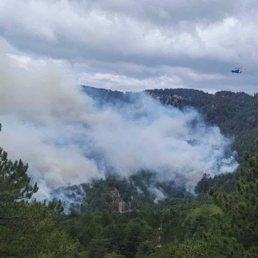 Antalya Manavgat'ta Yangın 22 Saatte Kontrol Altına Alındı