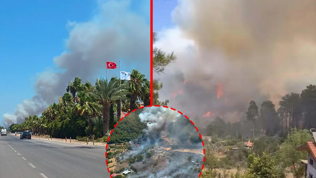 Antalya ve Muğla'da orman yangınları: Havadan ve karadan müdahale sürüyor