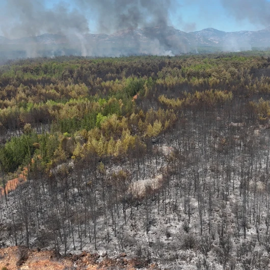 Antalya Orman Yangını: 254 Hane Tahliye Edildi, Yanan Alanlar Dronla Görüntülendi
