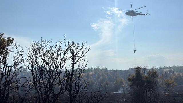 Antalya'da Orman Yangını Sayısı Yarı Yarıya Düştü
