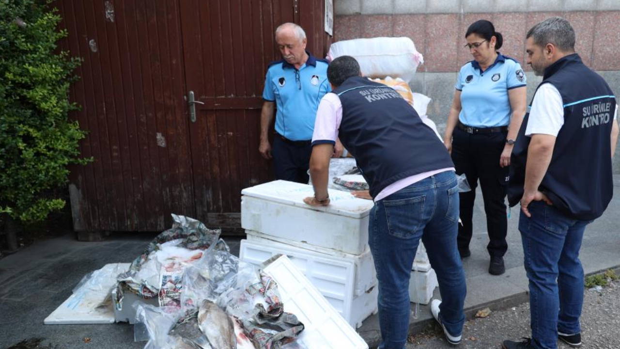 Antalya Otogarı'nda 260 kilo kaçak balık operasyonu