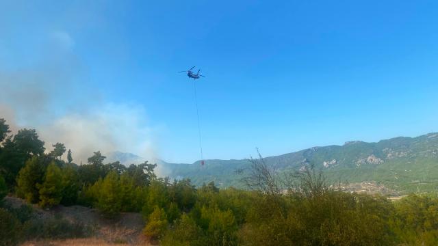 Antalya Serik'te Orman Yangını: Geniş Müdahale Sürüyor
