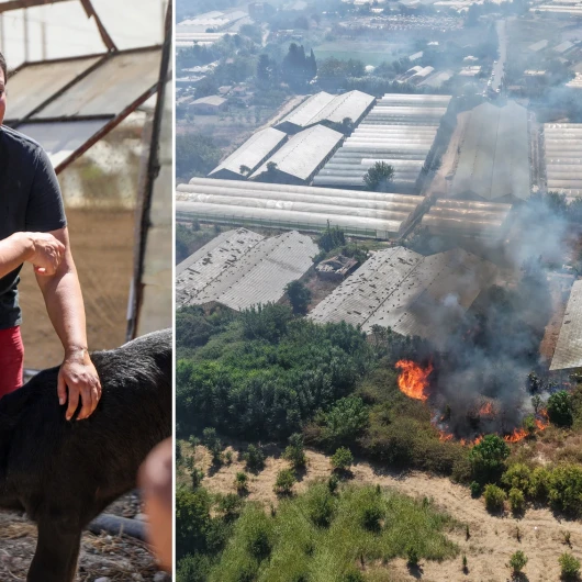 Antalya'da Yangın Paniği: Malağına Sarılan Kadın Gözyaşlarına Boğuldu