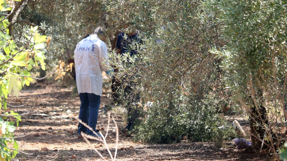 Antalya'da Zeytinlikte Elleri Bağlı Ceset Bulundu