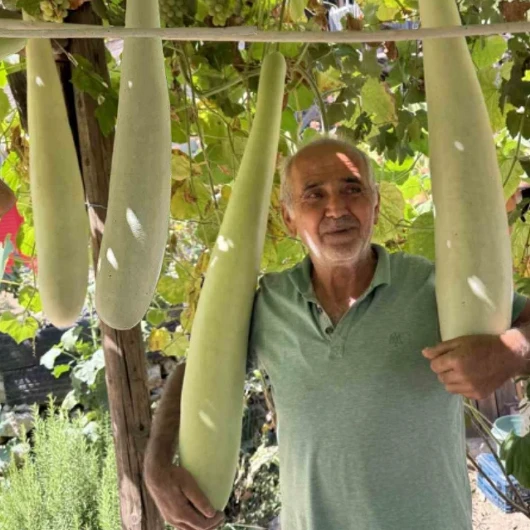 Antalya'da Bahçesinde 96 Santimetrelik Su Kabağı Yetiştirdi