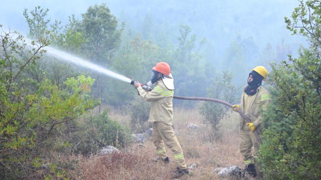Antalya'nın Akseki İlçesinde Orman Yangını: Havadan ve Karadan Müdahale Sürüyor