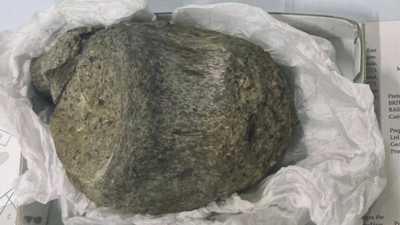 Antarktika'nın ilk dinozor fosili 40 yıl sonra keşfedildi