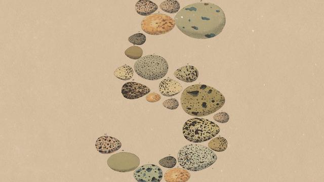 Anthropic Opus 5 Modelini Tanıttı: Yapay Zekâda Yeni Dönem