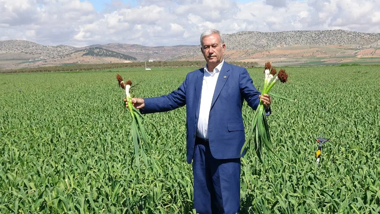 Araban sarımsağı hasadı: 9 aylık sabrın ödülü