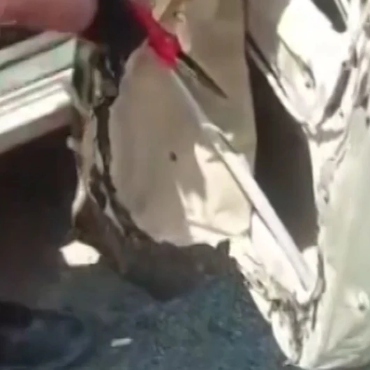 Aracına Giren Yılanı İtfaiye Ekipleri Yakaladı