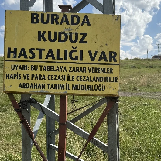 Ardahan'da Büyükbaş Hayvanda Kuduz Tespiti: Karantina Başlatıldı