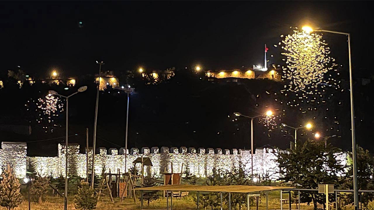 Ardahan'da Kelebeklerin 'Ölüm Dansı' Gözlemlendi