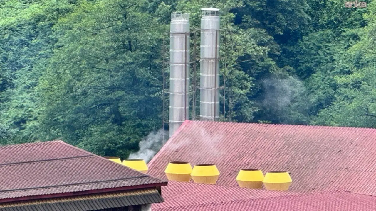 Ardeşen'de çay fabrikası kirliliği mahallelileri isyan ettirdi