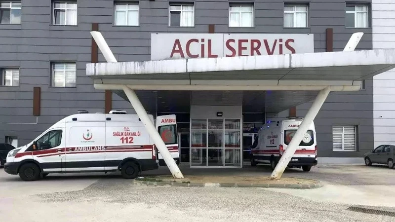 Arı saldırısında yaşlı çift hastaneye kaldırıldı