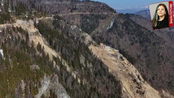 Artvin'deki altın madeni projesi için son viraj: Siyanür tehlikesi ve 7 bin ağaç kesilecek