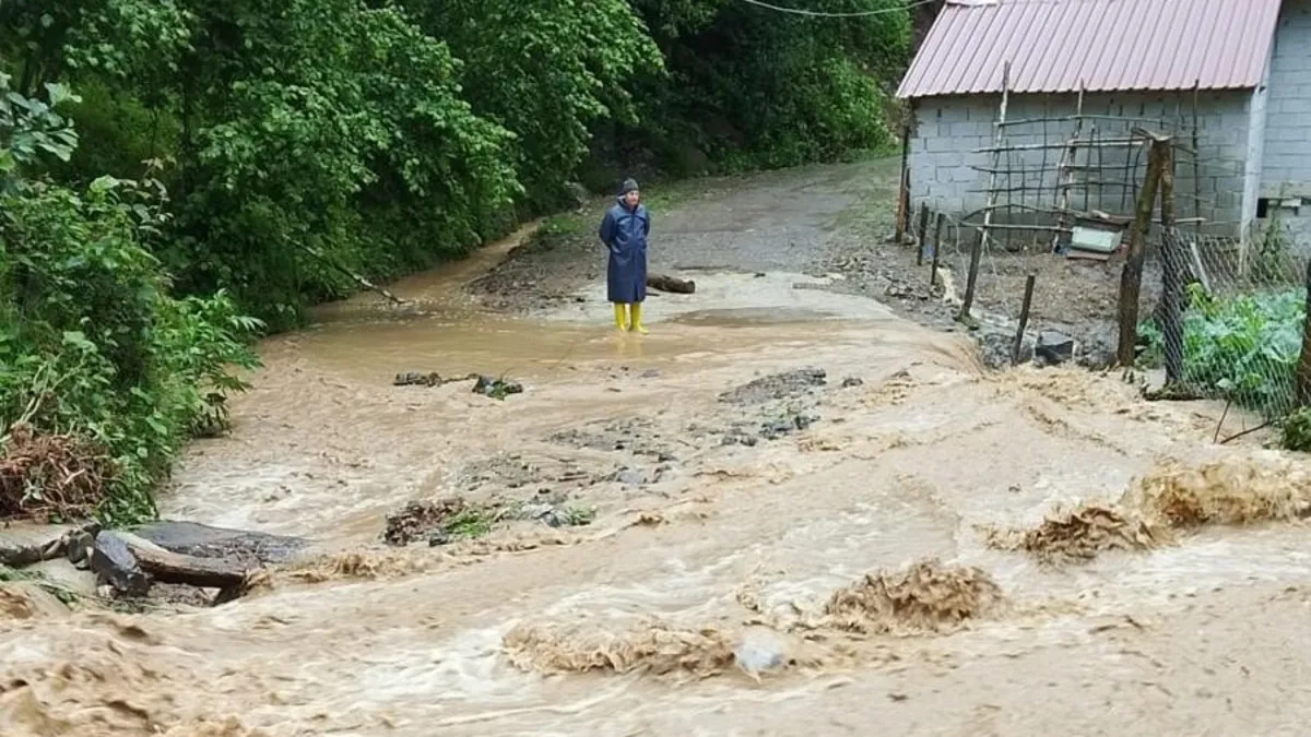 Artvin'de sağanak felaketi: Dereler taştı, köy yolları kapandı