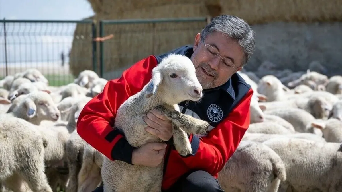 Aşı ve Kimliklendirme Ücreti Alınmayacak: Hayvancılığa 6 Milyar TL Destek