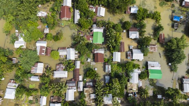 Assam'da sel felaketi: Can kaybı 100'e yükseldi
